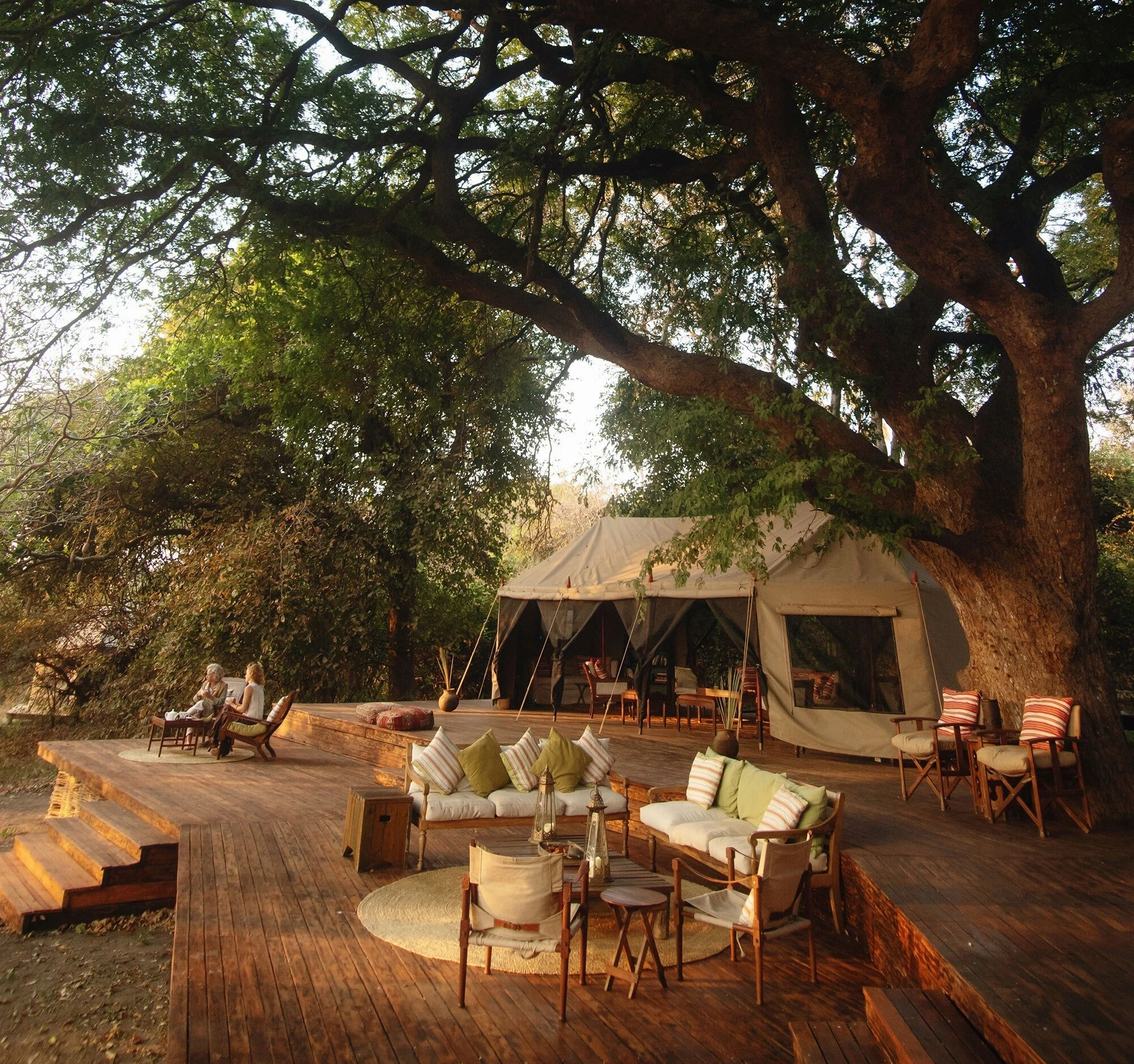 Terrasse de salon couverte d'un toit de chaume et tente d'hôte en toile sous un arbre géant à Chada Katavi